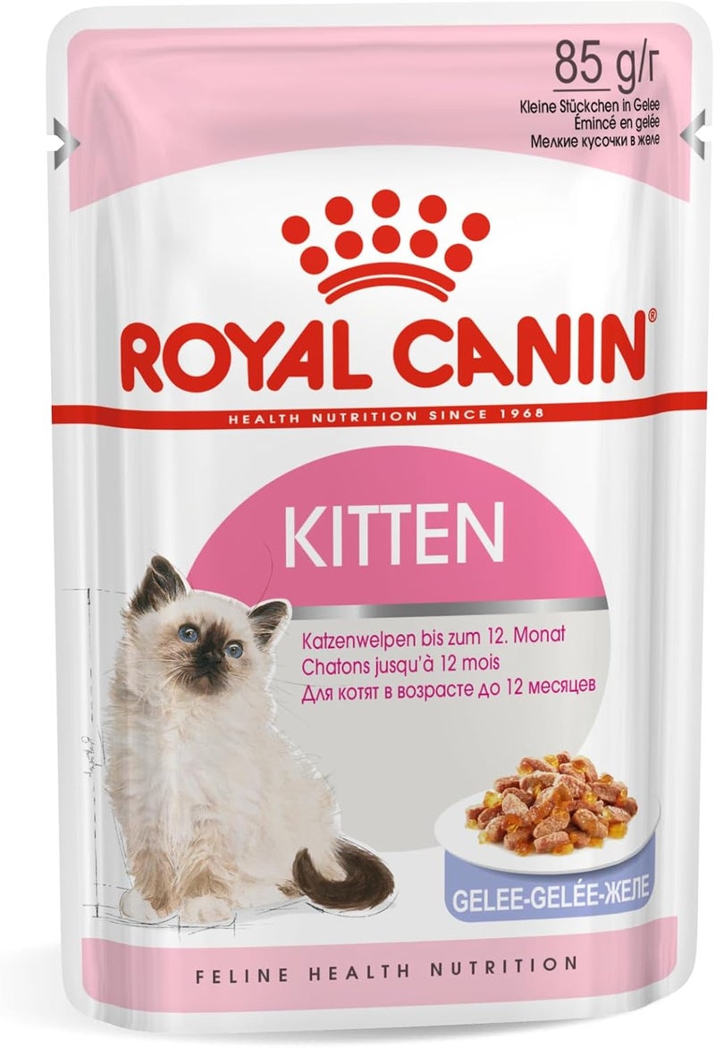 ROYAL CANIN طعام رويال كانين للقطط الصغيرة في الجيلي - 85 جرام - Image 1