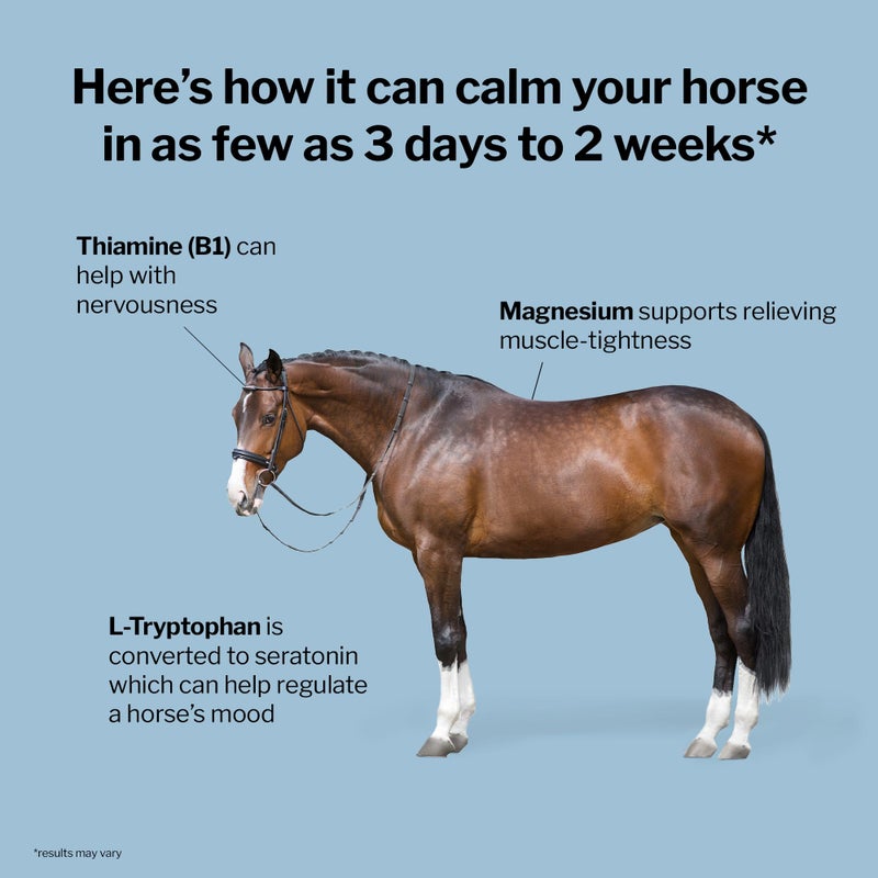 Formula 707 Calming Equine Supplement 5LB Bucket – Anxiety Relief and Enhanced Focus for Horses – L-Tryptophan, Thiamine & Magnesium - Image 3