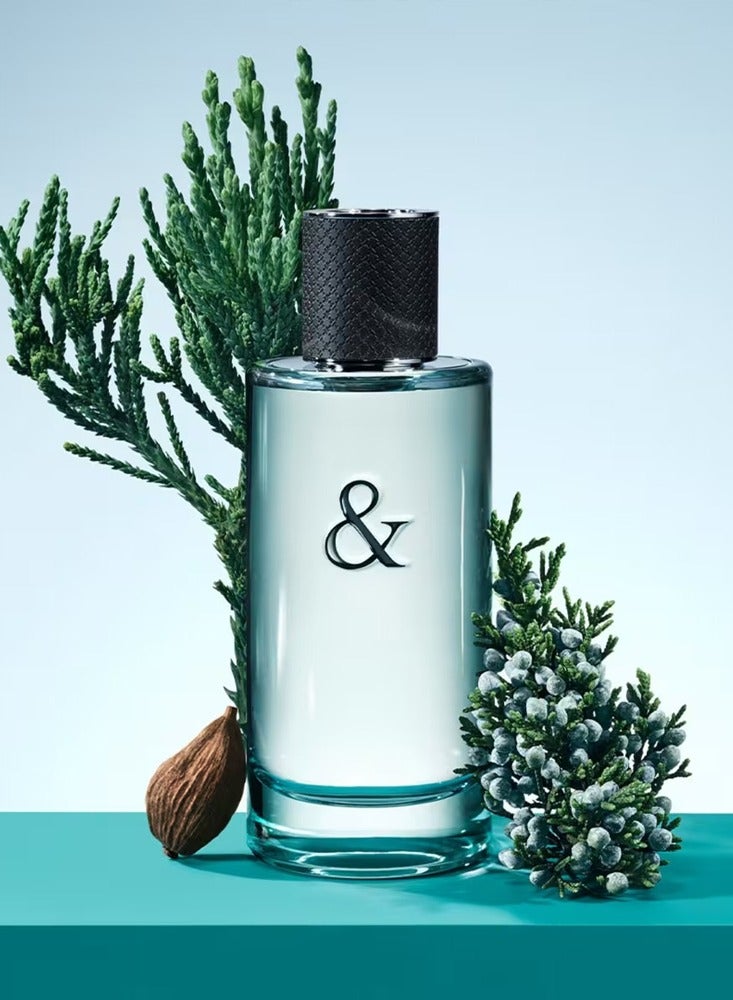 Tiffany & Co. Tiffany and Love Eau de Toilette Man 90ml - Image 3