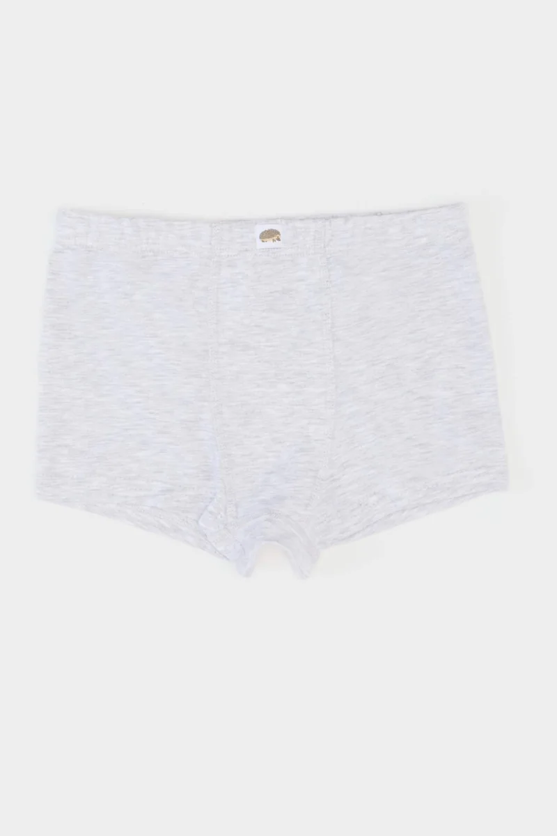 ديفاكتو Boy Patterned 3 Piece Boxers