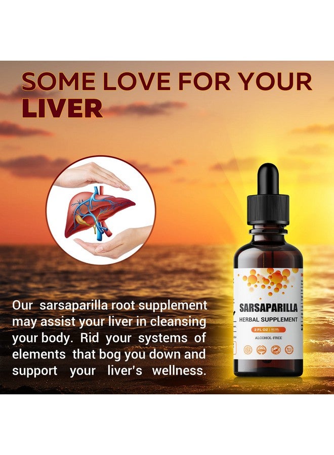 FabLab صبغة جذر السارساباريلا من فاب لاب - مكمل عشبي للتخلص من السموم ودعم المناعة - 2 أونصة سائلة - خالي من الكحول - غير معدل وراثيًا - يدعم صحة الجلد وتوازن الهرمونات والهضم - Image 2