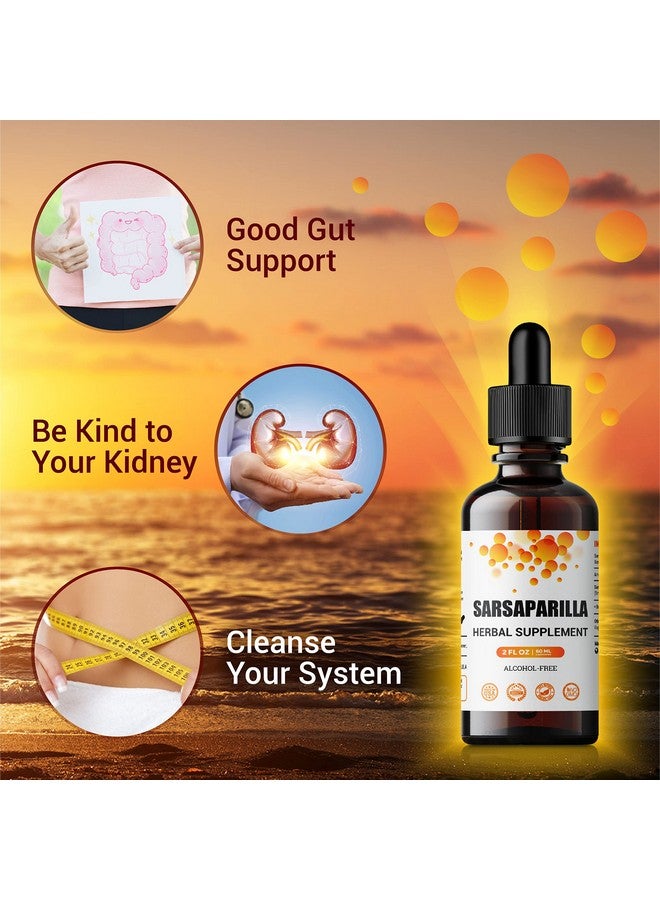 FabLab صبغة جذر السارساباريلا من فاب لاب - مكمل عشبي للتخلص من السموم ودعم المناعة - 2 أونصة سائلة - خالي من الكحول - غير معدل وراثيًا - يدعم صحة الجلد وتوازن الهرمونات والهضم - Image 4