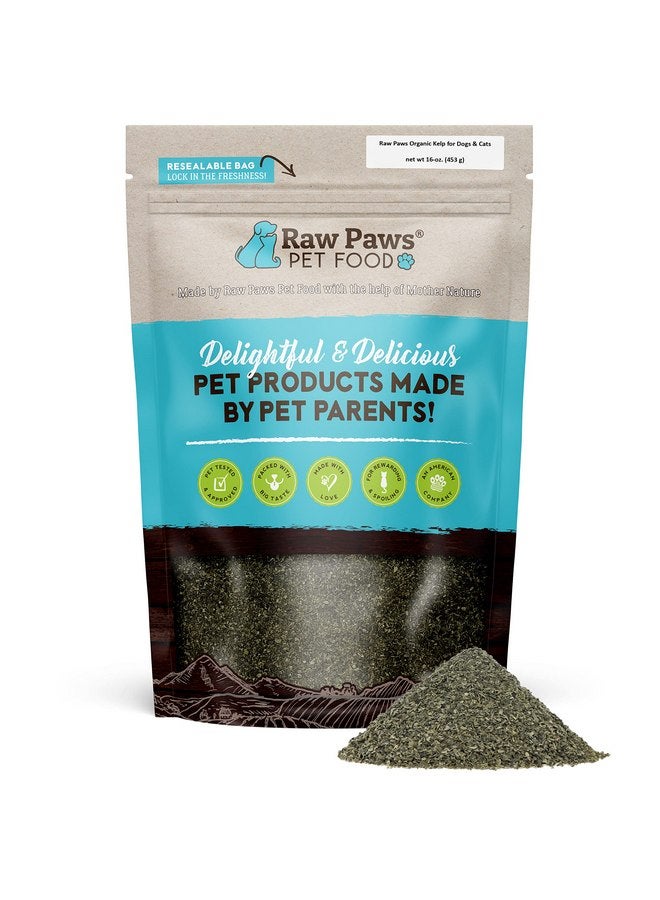 Raw Paws Organic Kelp for Dogs & Cats, 16-oz - Iodine Rich for Thyroid, Digestive & Immune Health - Seaweed Powder for Dogs, Sea Kelp for Cats, Kelp Supplement for Dogs, Dried Kelp Powder for Dogs - Image 1