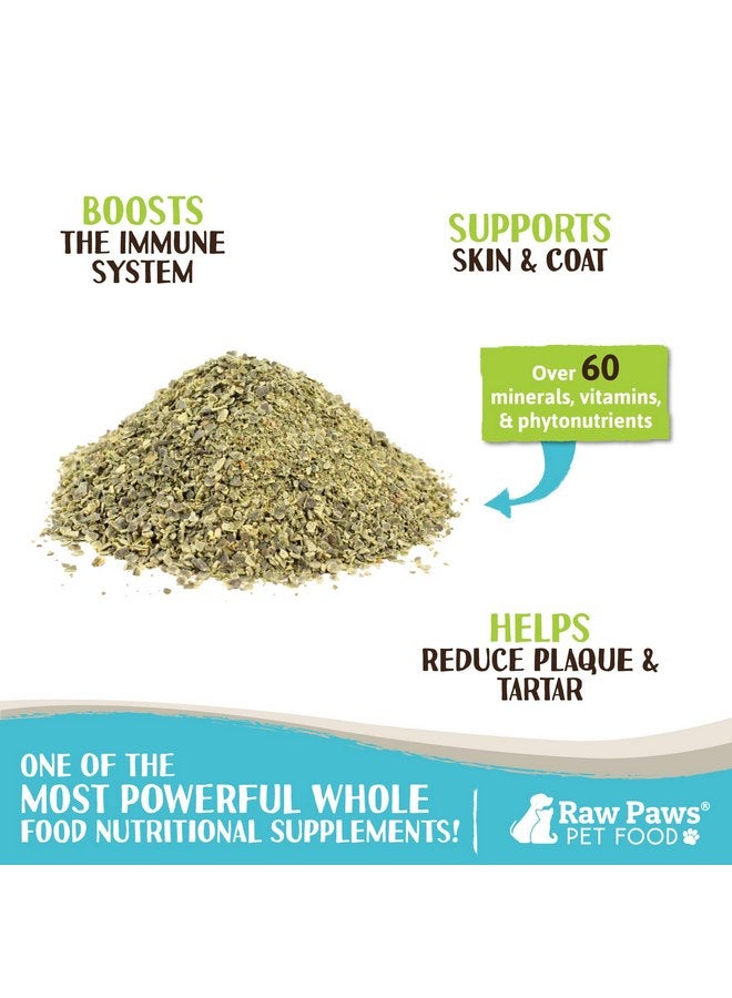 Raw Paws Organic Kelp for Dogs & Cats, 16-oz - Iodine Rich for Thyroid, Digestive & Immune Health - Seaweed Powder for Dogs, Sea Kelp for Cats, Kelp Supplement for Dogs, Dried Kelp Powder for Dogs - Image 2