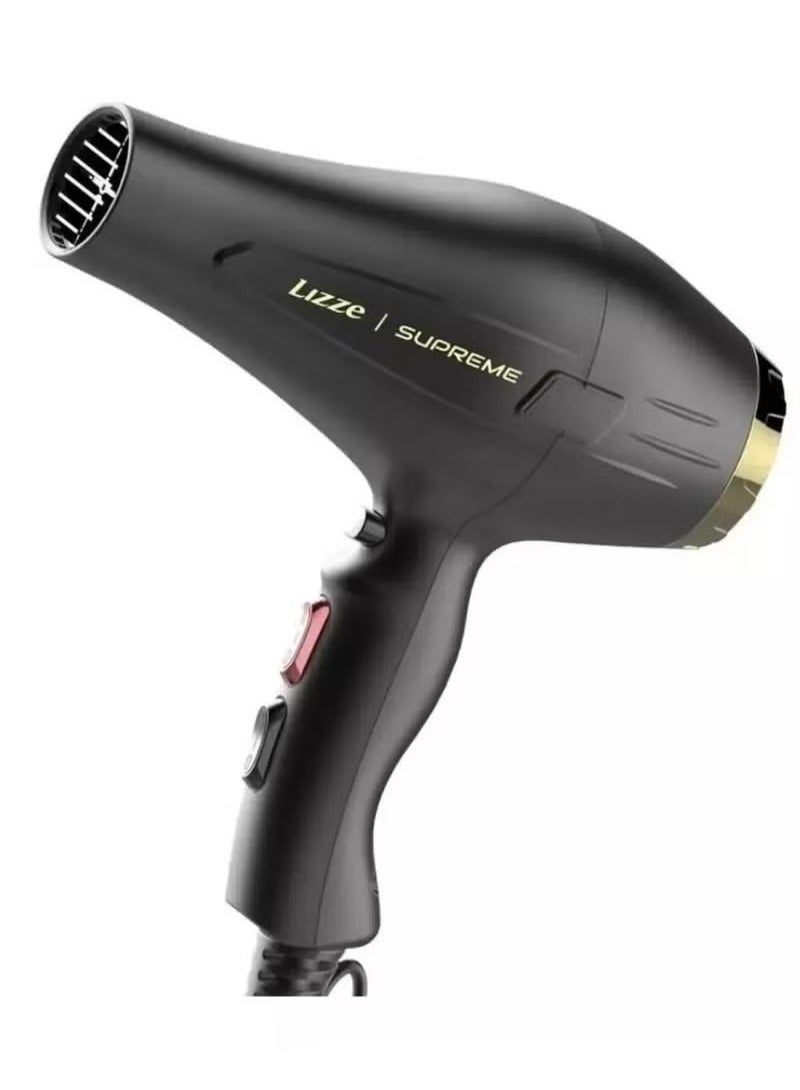 LIZZE 2600W 220V Professional Dryer - Image 3
