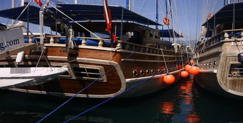 Bison Pu Max Wood Adhesive 75 G, Liquid, (Sea)Waterproof (En 204 D4), Heavy Duty, Super Strong, All Weather Wood Construction Glue, For Marine, Boats, Heavy Duty Wood Work - Image 4