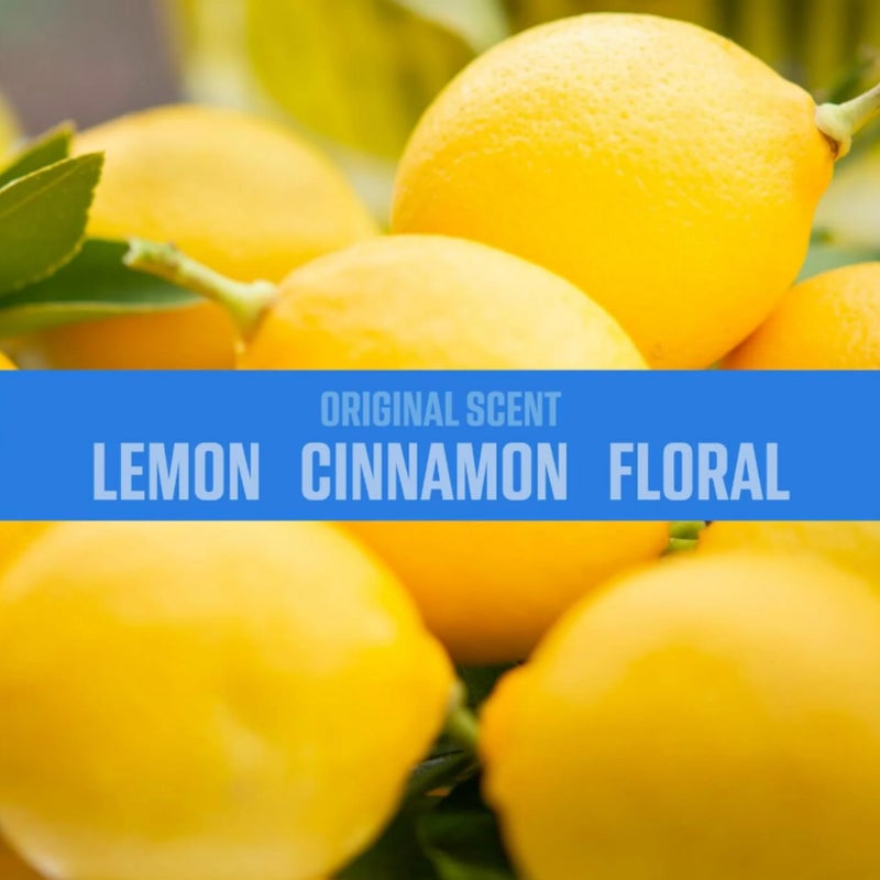 OziumÂ® 8 Oz. Air Sanitizer & Odor Eliminator for Homes, Cars, Offices and More, Original Scent - 4 Pack | Reduces Airborne Bacteria Eliminates Smoke & Malodors - Image 5