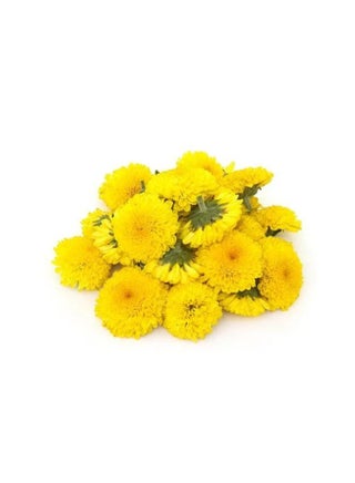 Fresh Chevanthi Flowers