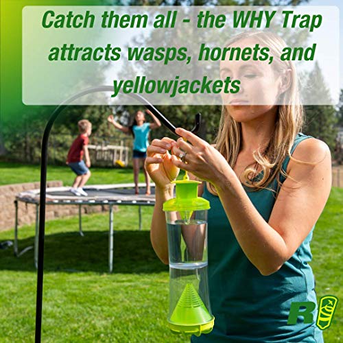 RESCUE! Non-Toxic Wasp, Hornet, Yellowjacket Trap (WHY Trap) Attractant Refill - 2 Week Refill - 6 Pack - Image 3