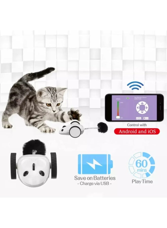 Duvo + Duvo+ Race N Chase App-Controlled Mouse Cat Toy - Image 4