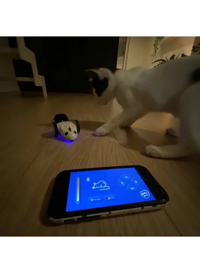 Duvo + Duvo+ Race N Chase App-Controlled Mouse Cat Toy - Image 3