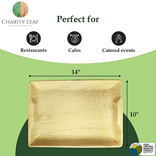 Charity Leaf Disposable Palm Leaf 14" x 10" Trays (10 pieces) Bamboo Like Serving Platters, Disposable Boards, Eco-Friendly Dinnerware For Weddings, Catering, Events - Image 3