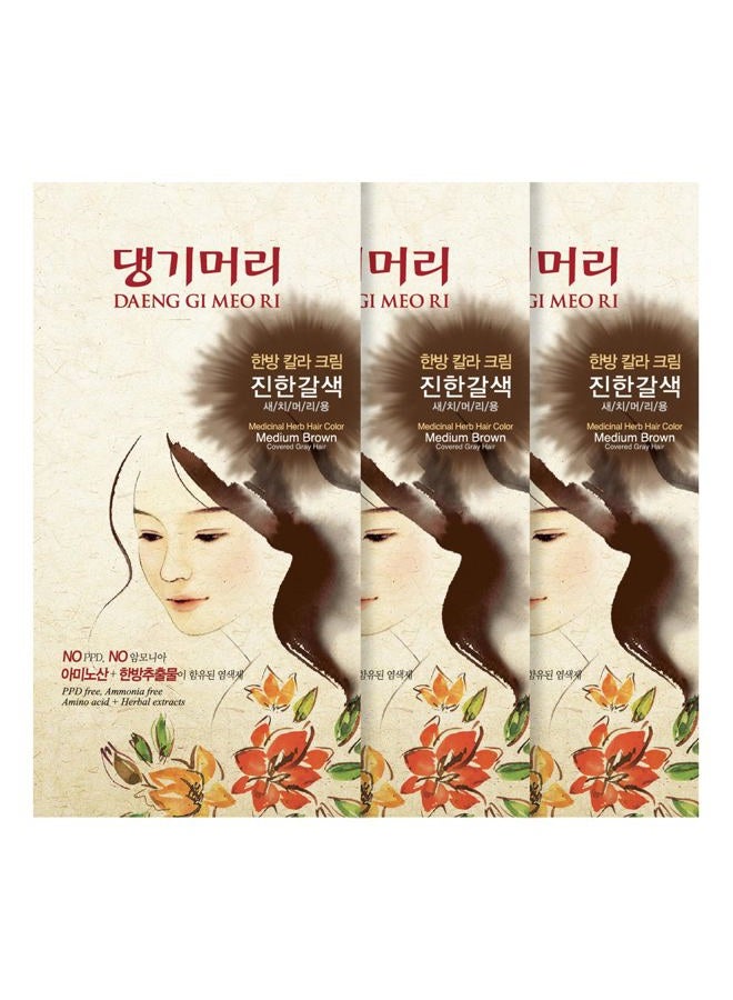 DAENG GI MEO RI Hair Color Medium Brown (3 PACK) - Image 1