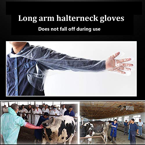Aihmilcl Halter Artificial Insemination Gloves, Veterinary Shoulder Length Disposable Cow Palpation Gloves (50PCS, 35") - Image 5