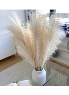 Beasley and Bali New Luxury Tall Faux Pampas Grass Set of 3 Extra Thick and Fluffy 43110 cm Stems with 22 Branches Large Artificial Pompous Grass Floor Vase Filler Home Decor As seen on TikTok 