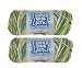 Hobby Lobby Print I Love This Yarn 4 Medium 100 Acrylic 252 Yards Yarn for Crocheting Knitting Blankets Hats Accessories Set of 2 490 Spring Green - Image 2