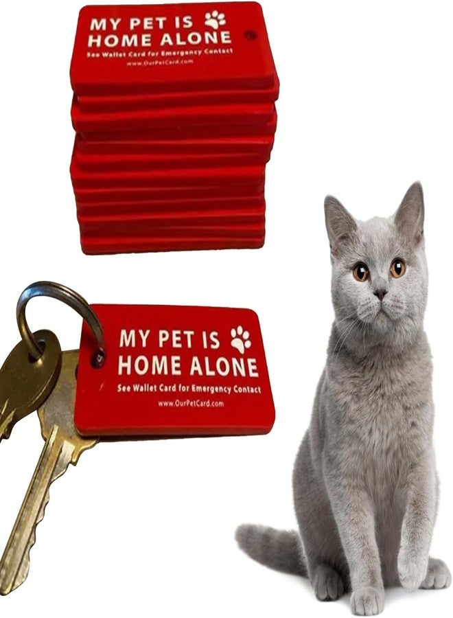 Jowxsx Dog Cat are Home Alone Alert Key Tags Pet Contact Keychain Alert Keychain Dog ID Tag and Collar Accessories - Image 1