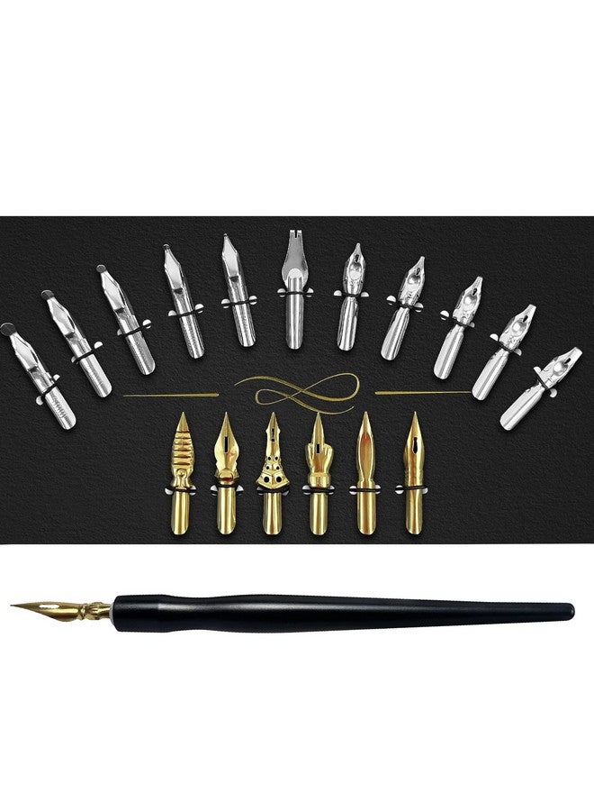 FEATTY Calligraphy Pens Set - 17 Pieces Stainless Steel Calligraphy Pen Nibs with 1 Piece Nib Holder for Writing Painting Signing - Image 1