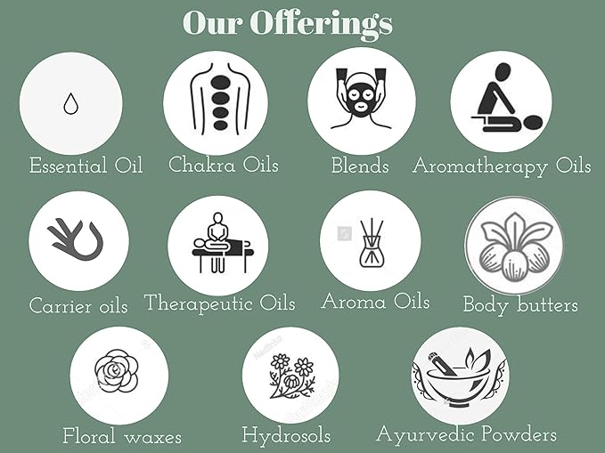 Deve Herbes Pure Bay Essential Oil Pimenta racemosa NonSticky NonGreasy for Aromatherapy Massage DIY Use Steam Distilled 30ml