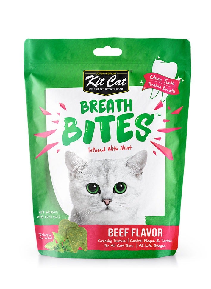 كيت كات 60 جرام من لدغات اللحم البقري بنكهة النعناع للقطط - Image 1