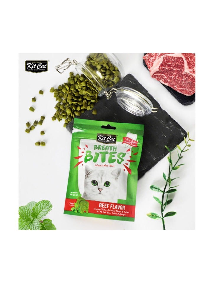 كيت كات 60 جرام من لدغات اللحم البقري بنكهة النعناع للقطط - Image 2