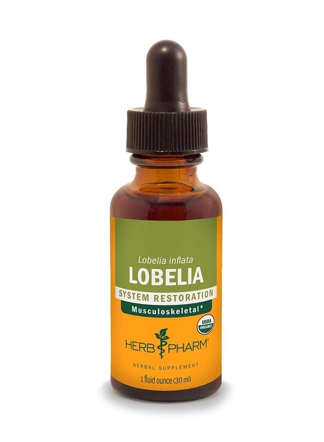 HERB PHARM Certified Organic Lobelia Liquid Extract for Musculoskeletal System Support - 1 Ounce (DLOBEL01) - Image 1