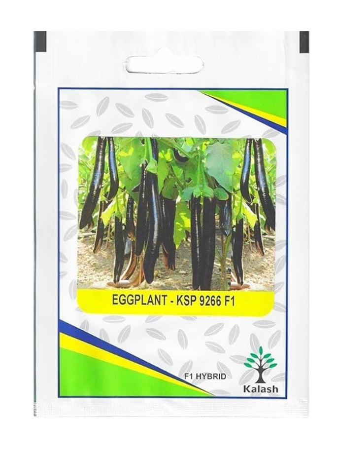 Generic Kalash Eggplant KSP 9266 F1 Hybrid Premium Quality Seeds By "Garden Care" 