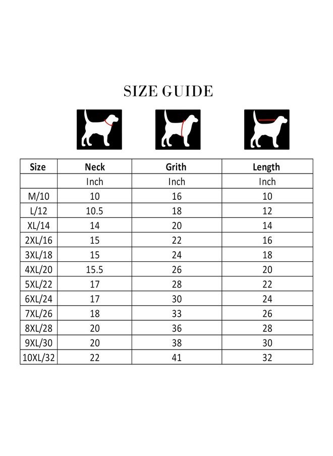 Urban pets Petwear Take It Easy Cotton Printed Dog T-Shirt Furever Sandoz/Summer Sandoz/Summer Wear/ (Royal Blue, Size : 6Xl)  - Image 4