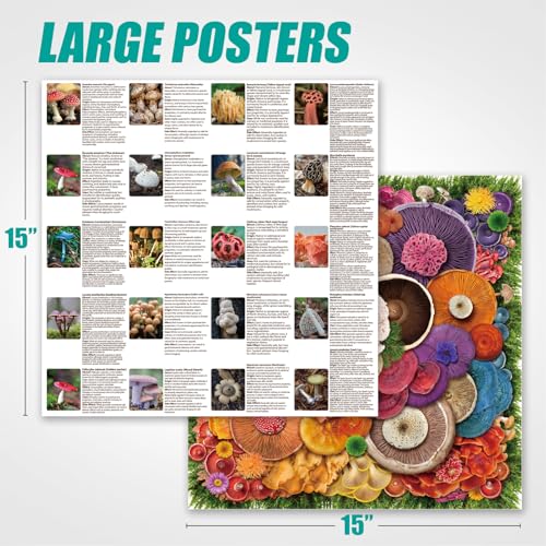 Antelope 1000 Piece Puzzle for Adults Mushroom Jigsaw Puzzles 1000 Pieces High Resolution Matte Finish No Dust - Image 5