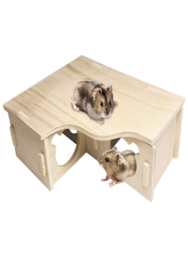 Hamiledyi Natural Wooden Hamster Maze - Multi-Chamber Detachable Small Animal Habitat with Exploring Tunnels, Enrichment Activity Toys for Dwarf Hamsters, Gerbils, Mice, Rats, Lemmings(Style B - Image 1