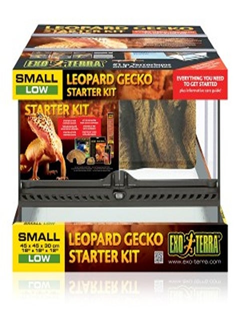 Exo Terra Leopard Gecko Starter Kit