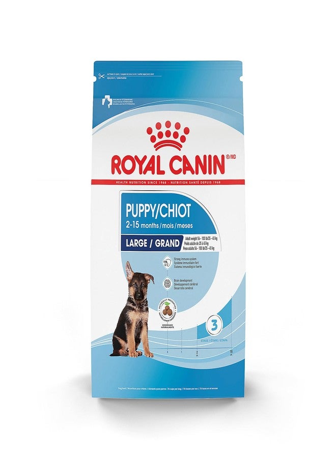 Royal Canin Size Health Nutrition Large Puppy Dry Dog Food, 4 lb Bag - Image 1