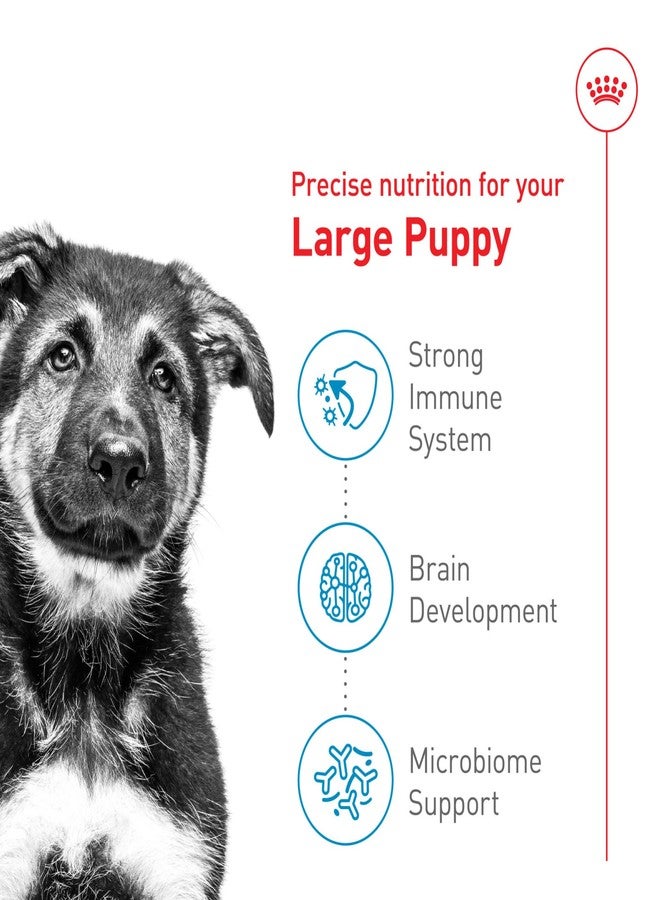 Royal Canin Size Health Nutrition Large Puppy Dry Dog Food, 4 lb Bag - Image 3
