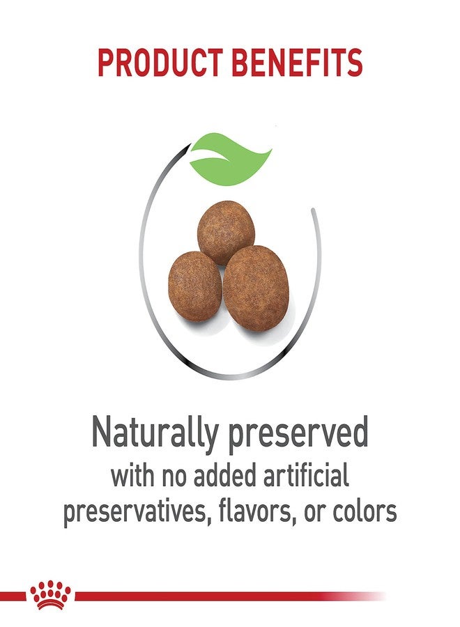 Royal Canin Size Health Nutrition Large Puppy Dry Dog Food, 4 lb Bag - Image 2