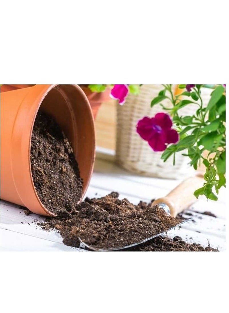 vsell24 Vsell24 20L Bio-Tech Potting Soil With Micro Nutirients For Indoor And AC Rooms Soil For Home Gardens Made In UAE  - Image 1