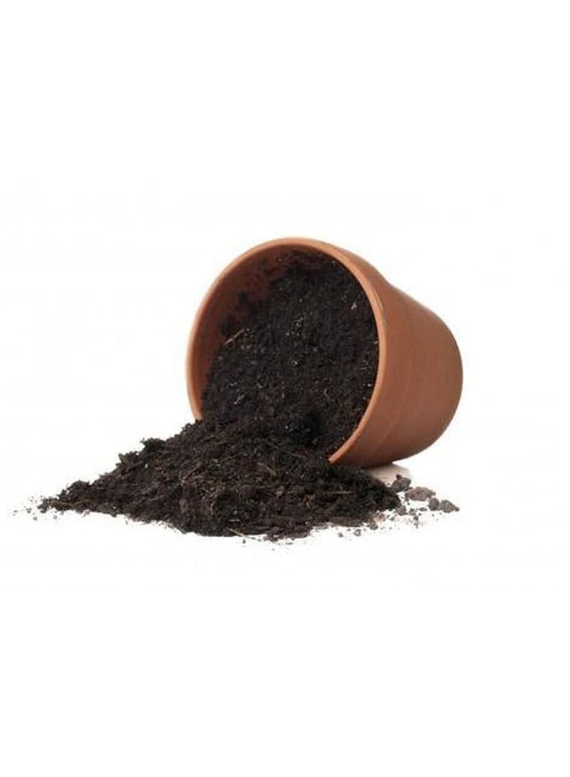 vsell24 Vsell24 20L Bio-Tech Potting Soil With Micro Nutirients For Indoor And AC Rooms Soil For Home Gardens Made In UAE  - Image 3