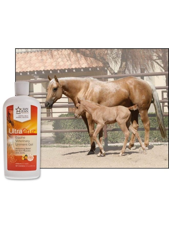 UltraCruz UltraCruz - sc-516110 Veterinary Liniment Gel for Horses, 12 oz  - Image 3