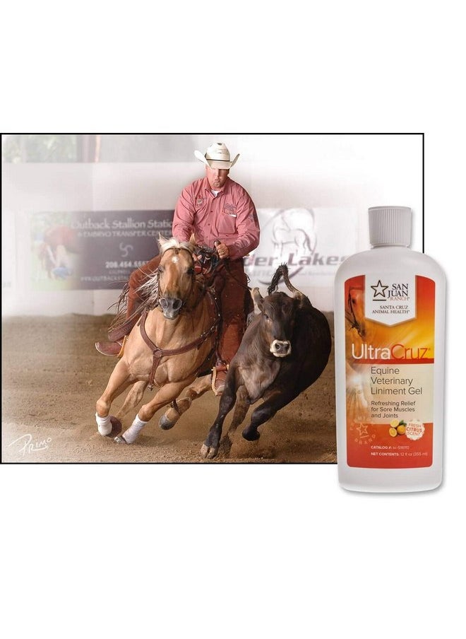 UltraCruz UltraCruz - sc-516110 Veterinary Liniment Gel for Horses, 12 oz  - Image 2