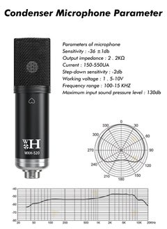 Sunbmebge Sound Card Condenser Microphone Kit/Live Broadcast Equipment with Ring Light/Recording Studio for Live Streaming/Suitable for Podcasting/Live Broadcasting/Singing/PC/Mobile/TikTok/YouTube  - Image 5