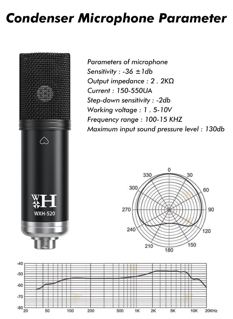Sunbmebge - Sound Card Condenser Microphone Kit/Live Broadcast Equipment with Ring Light/Recording Studio for Live Streaming/Suitable for Podcasting/Live Broadcasting/Singing/PC/Mobile/TikTok/YouTube - Image 1