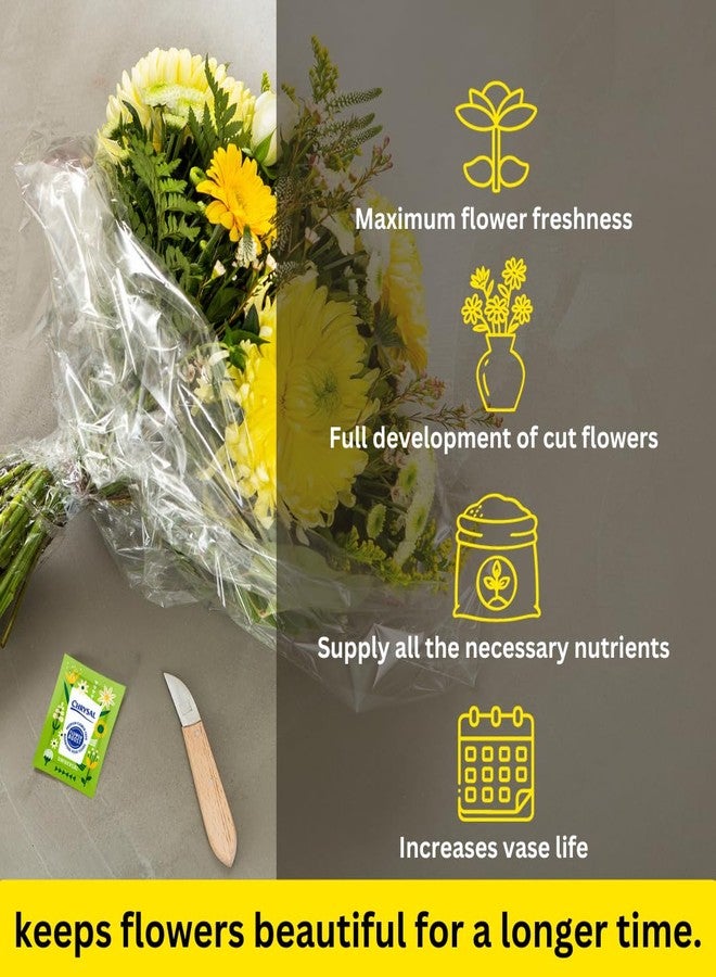 Chrysal Flower Boost - Clear Flower Food Packets for Flower Arrangements & Bouquets - Floral Supplies for Fresh Flowers - Fresh Flower Arrangements Supplies (5g - 100 Ct) - Image 3