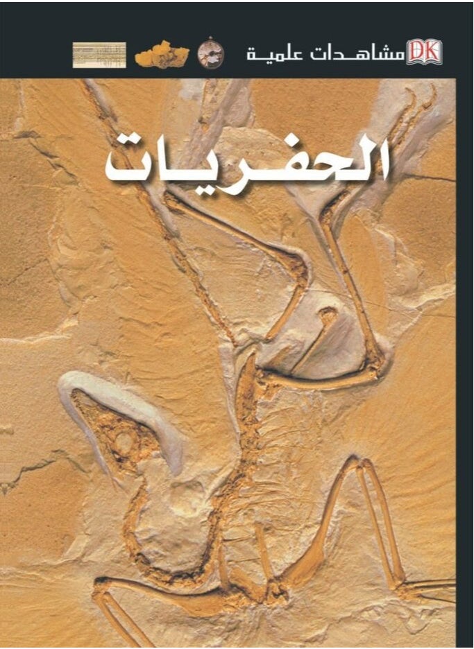 null - Scientific Observations - Excavations (Volume) - Image 1
