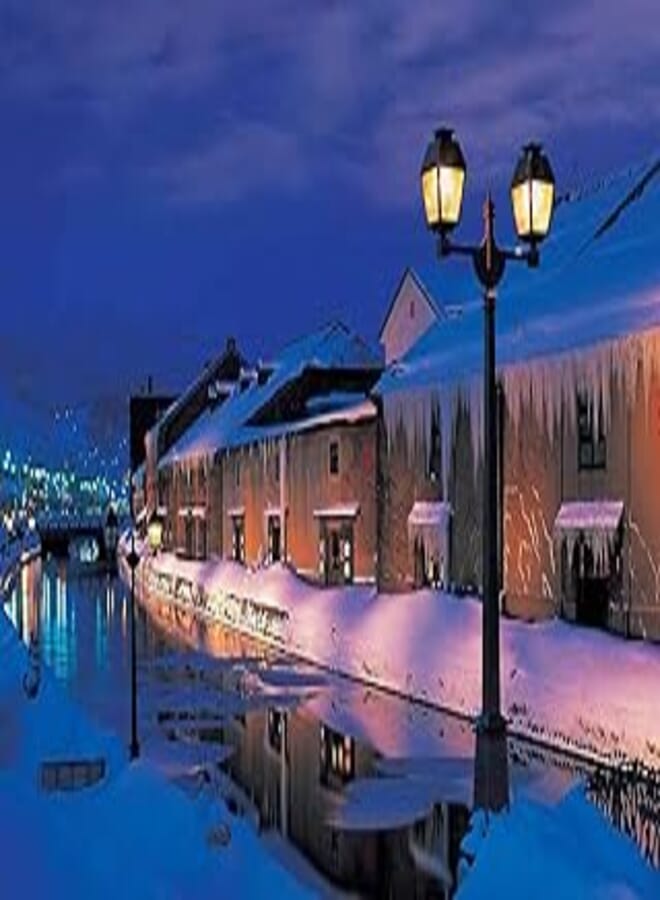 Tomax otaro canal at night 1000 piece puzzle
