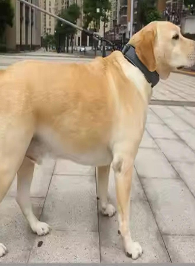 PET FUN طوق عاكس قابل للتعديل للحيوانات الأليفة من بيت فن مع حشوة ناعمة | حزام نايلون متين مع مشبك سريع الفتح وحلقة على شكل حرف D للرباط | مناسب للكلاب والقطط والجراء الصغيرة والمتوسطة والكبيرة (أسود، كبير) - Image 4