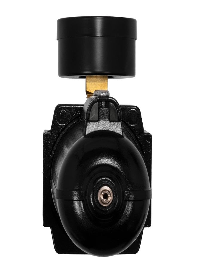 DeWalt 3/4" NPT Filter Regulator (DXCM019-0374) - Image 3