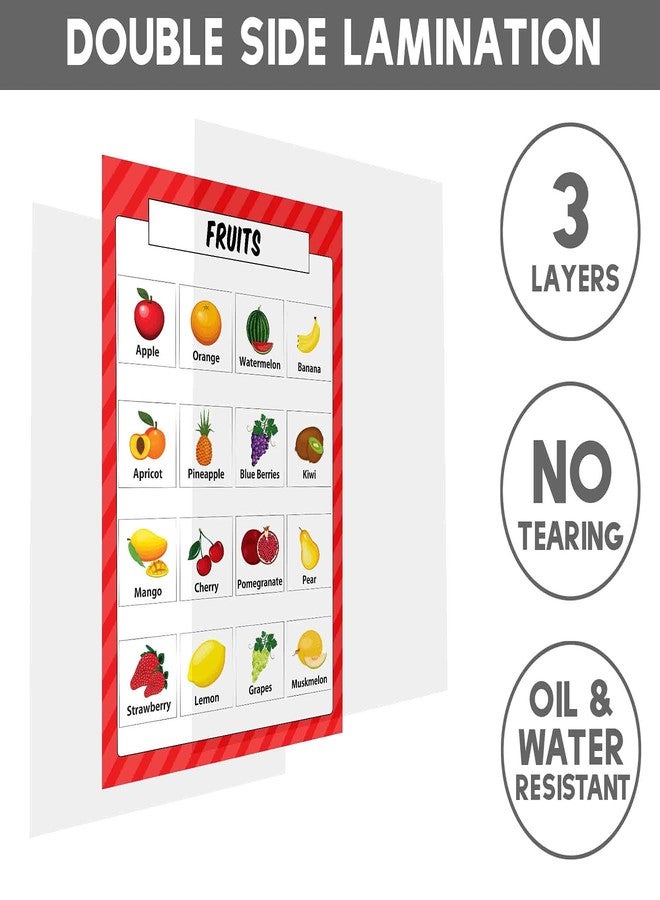 Traceease Educational Poster For Elementary School, Pack Of 25 Laminated Kids Learning Posters USA & World Maps- Solar System- Math & more - Great for Classroom/HomeSchool- Room decor-9A - Image 5