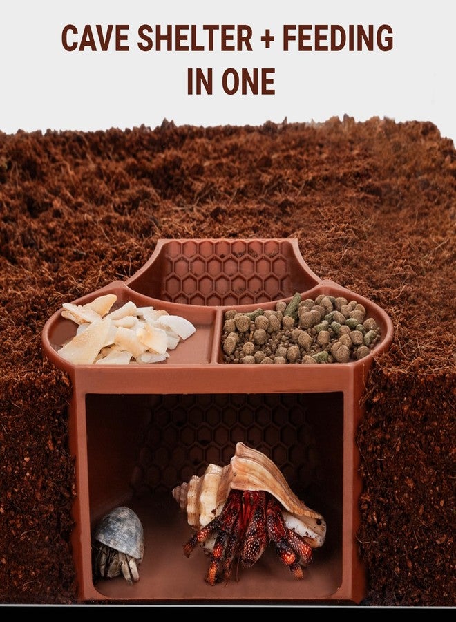 HERPDEN Hermit Crab Habitat Shelter with Dual Food Bowls, 2-in-1 Cave Shelter & Feeding Dish, Textured Climbing Ramp & Viewing Window, Hermit Crab Accessories for Habitat & Tank Setup (Brown) - Image 3