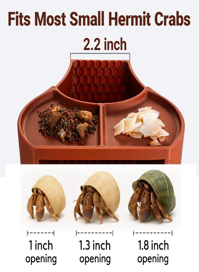 HERPDEN Hermit Crab Habitat Shelter with Dual Food Bowls, 2-in-1 Cave Shelter & Feeding Dish, Textured Climbing Ramp & Viewing Window, Hermit Crab Accessories for Habitat & Tank Setup (Brown) - Image 5