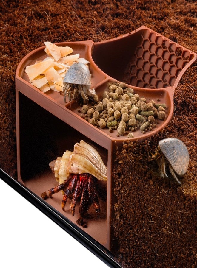 HERPDEN Hermit Crab Habitat Shelter with Dual Food Bowls, 2-in-1 Cave Shelter & Feeding Dish, Textured Climbing Ramp & Viewing Window, Hermit Crab Accessories for Habitat & Tank Setup (Brown) - Image 1