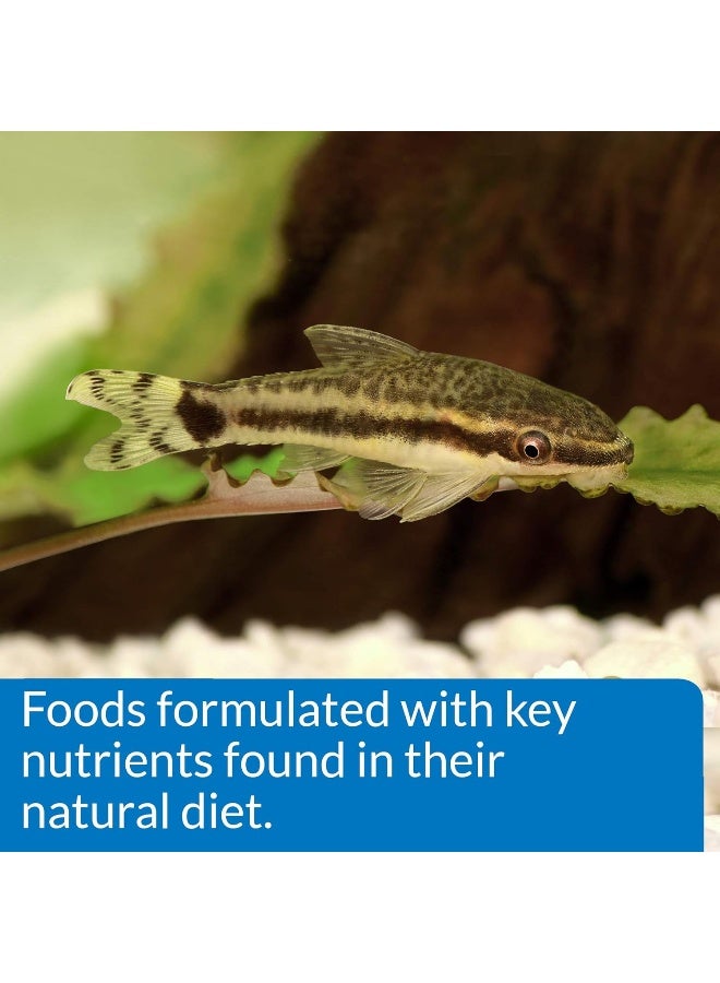 Api Bottom Feeder Pellets With Shrimp, 1.05 Oz - Image 5